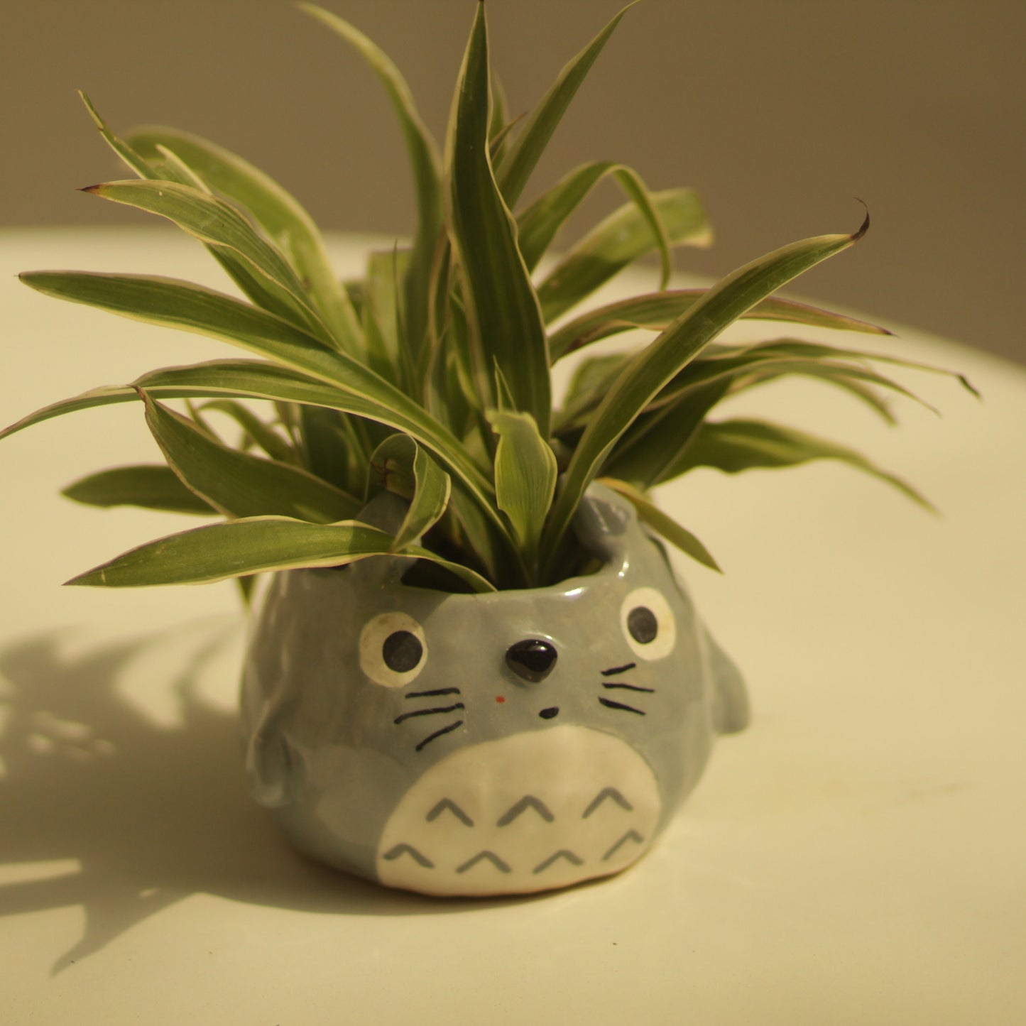 Grey Character Handmade Ceramic Plant Pot